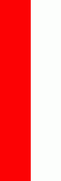 [Bad Windsheim plain city banner]