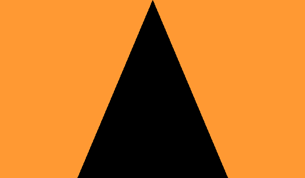 NAR Section Flag 2