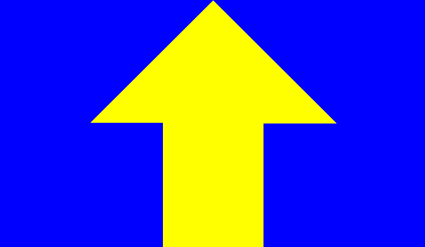 NAR Section Flag 4