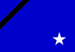Flag of Orion Shipping, USA