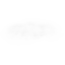 Sole